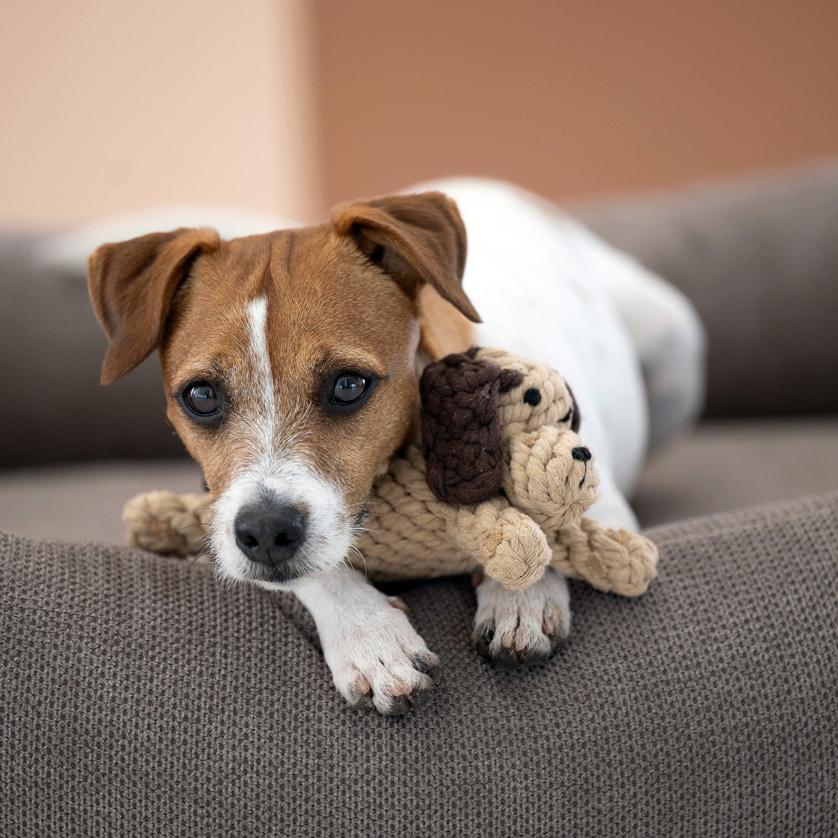 LABONI Doggy Dog — Pure Cotton Rope Dog Toy