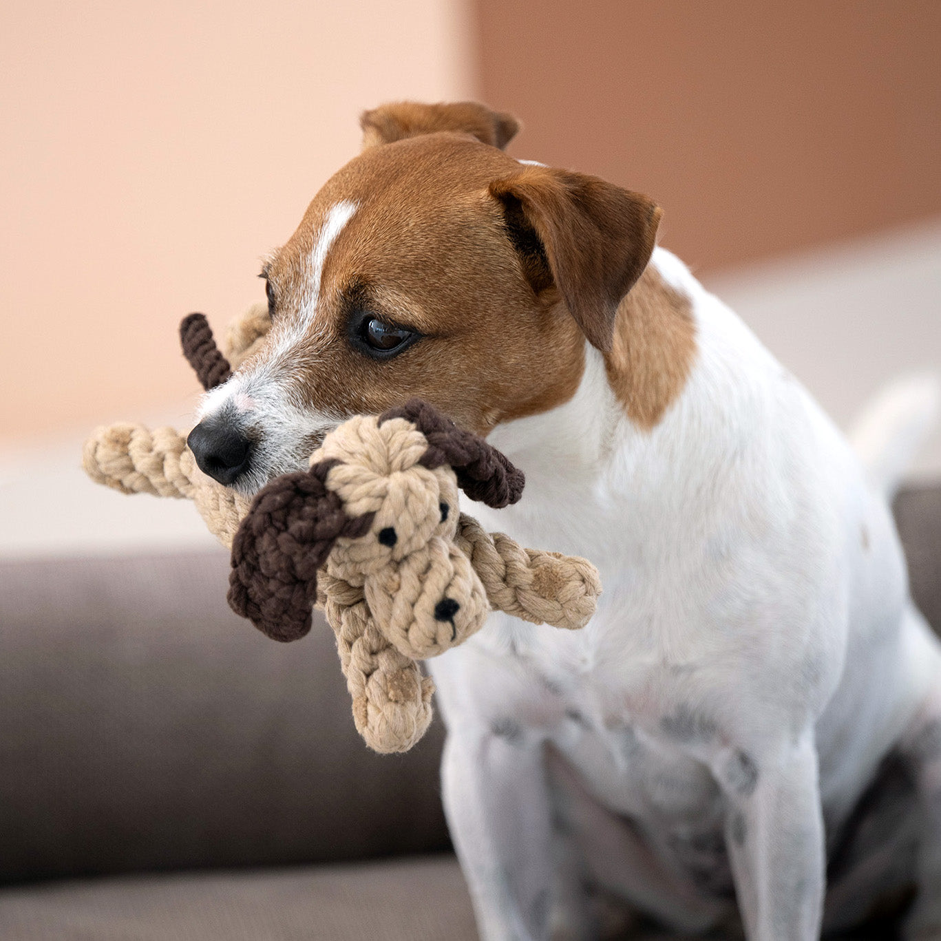 LABONI Doggy Dog — Pure Cotton Rope Dog Toy