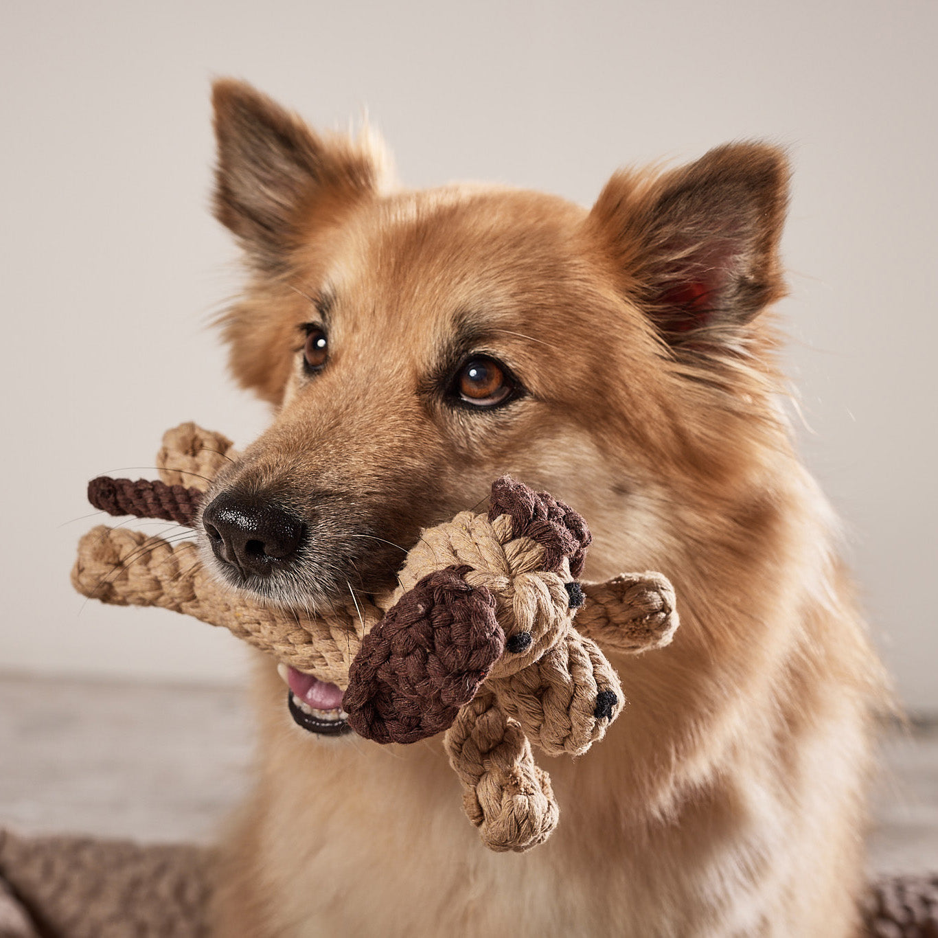 LABONI Doggy Dog — Pure Cotton Rope Dog Toy