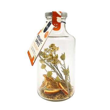 Pineut Mocktail Mix — Sinaasappel & Vlierbloesem