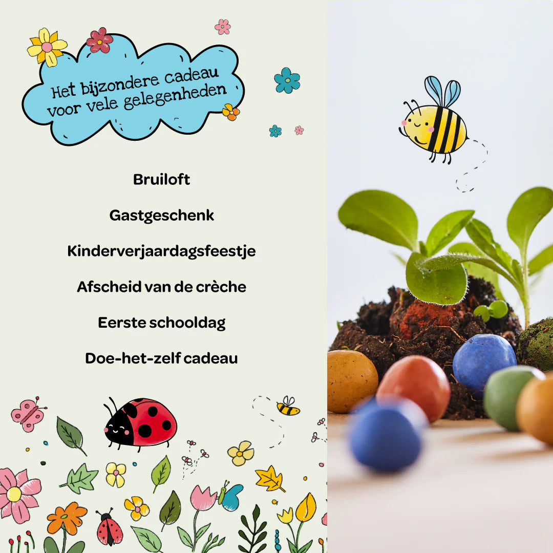 Flower Seed Balls — Box of 25