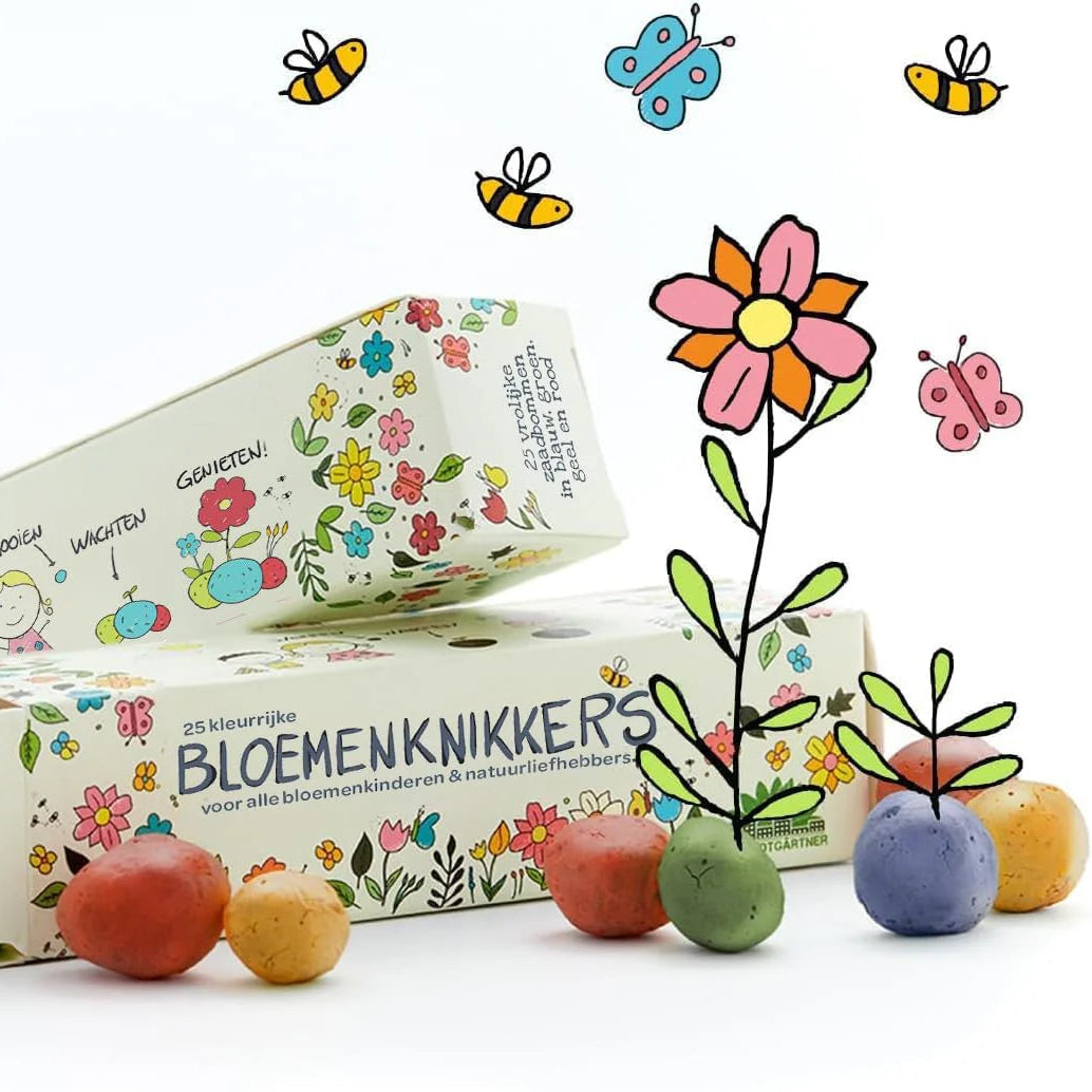 Flower Seed Balls — Box of 25