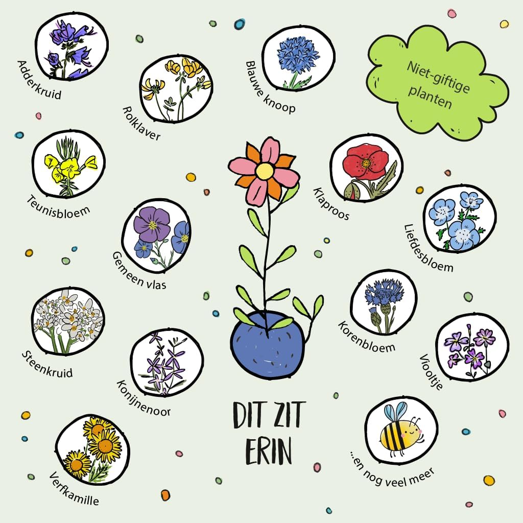 Flower Seed Balls — Box of 25