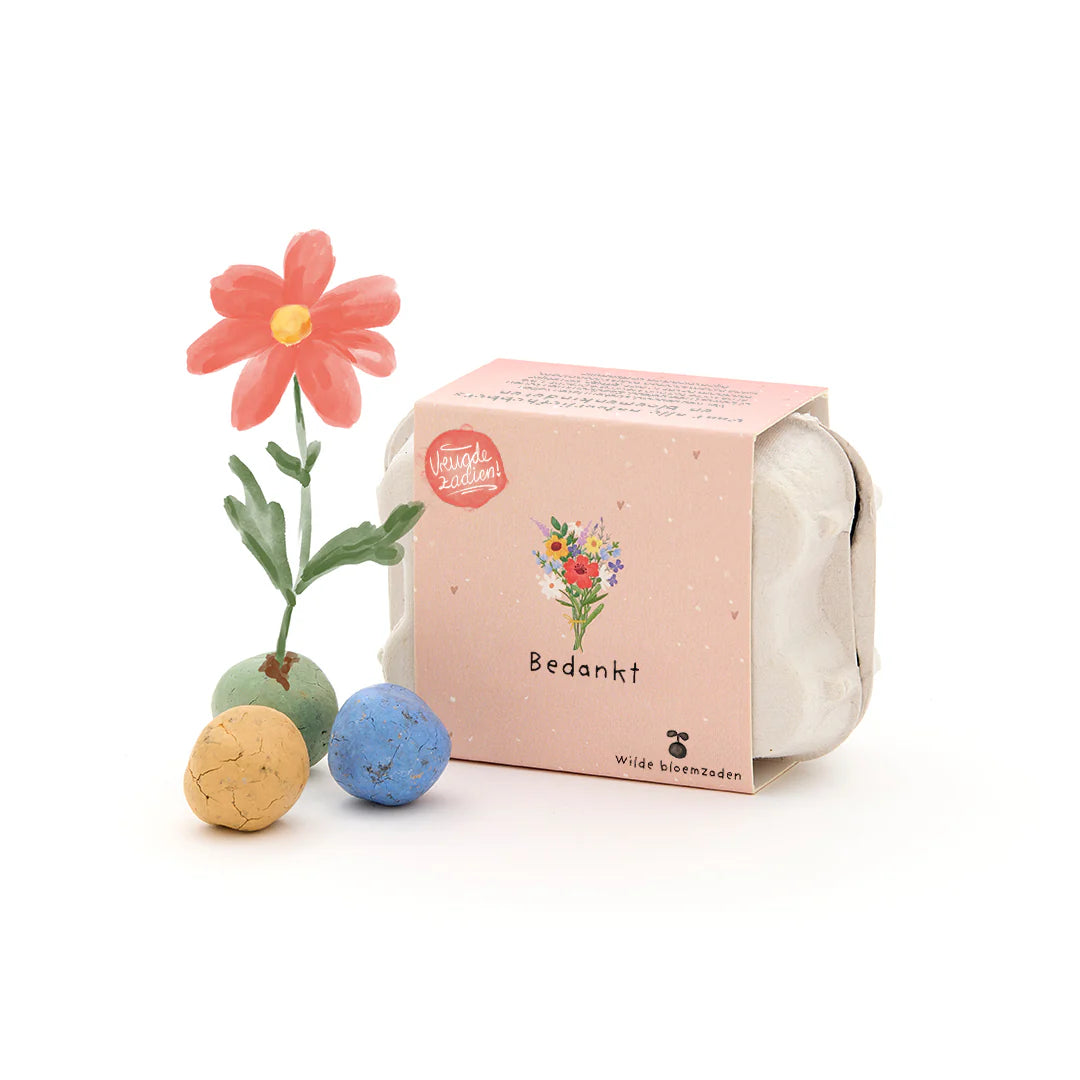 6 Flower Seed Balls in Egg Carton – Bedankt