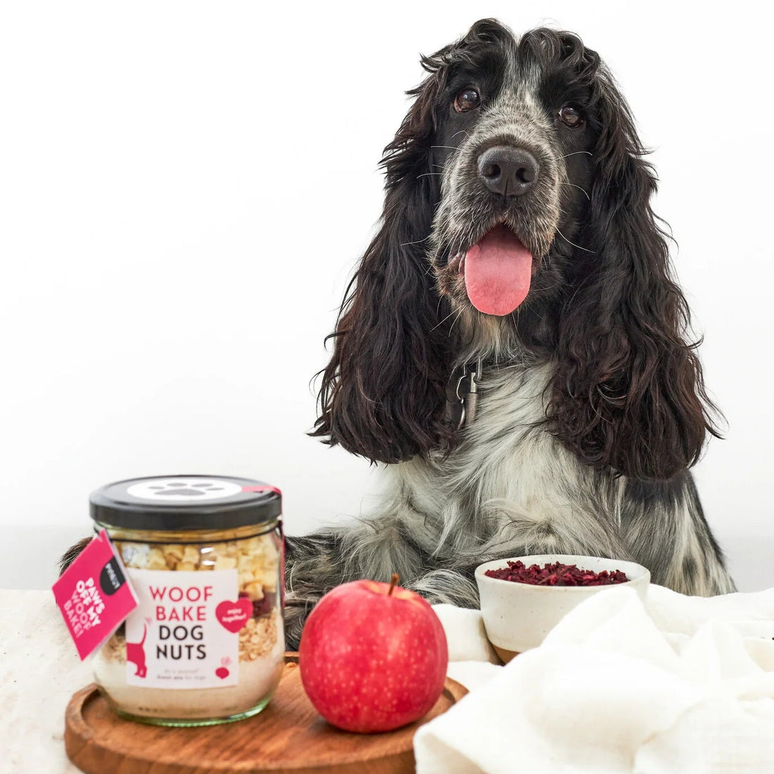 Pineut Hondenkoek Mix — Woofbake Dognuts